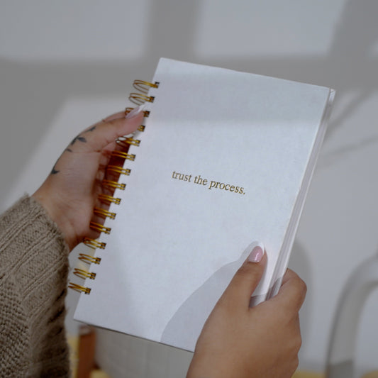 undated planner (trust the process)